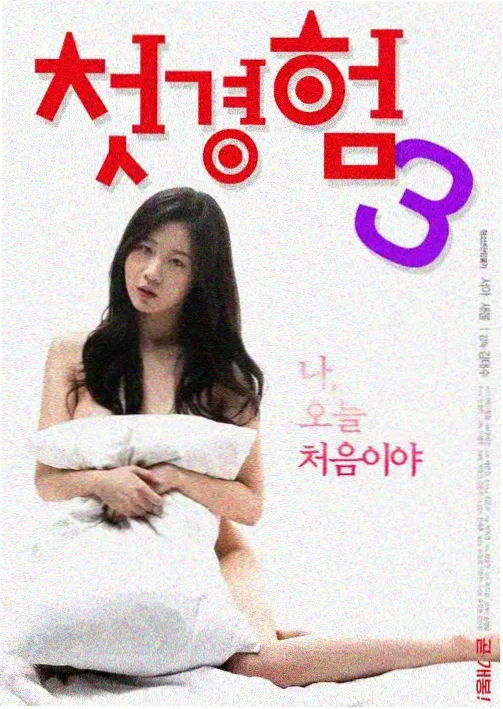 风流女管家初见剧集